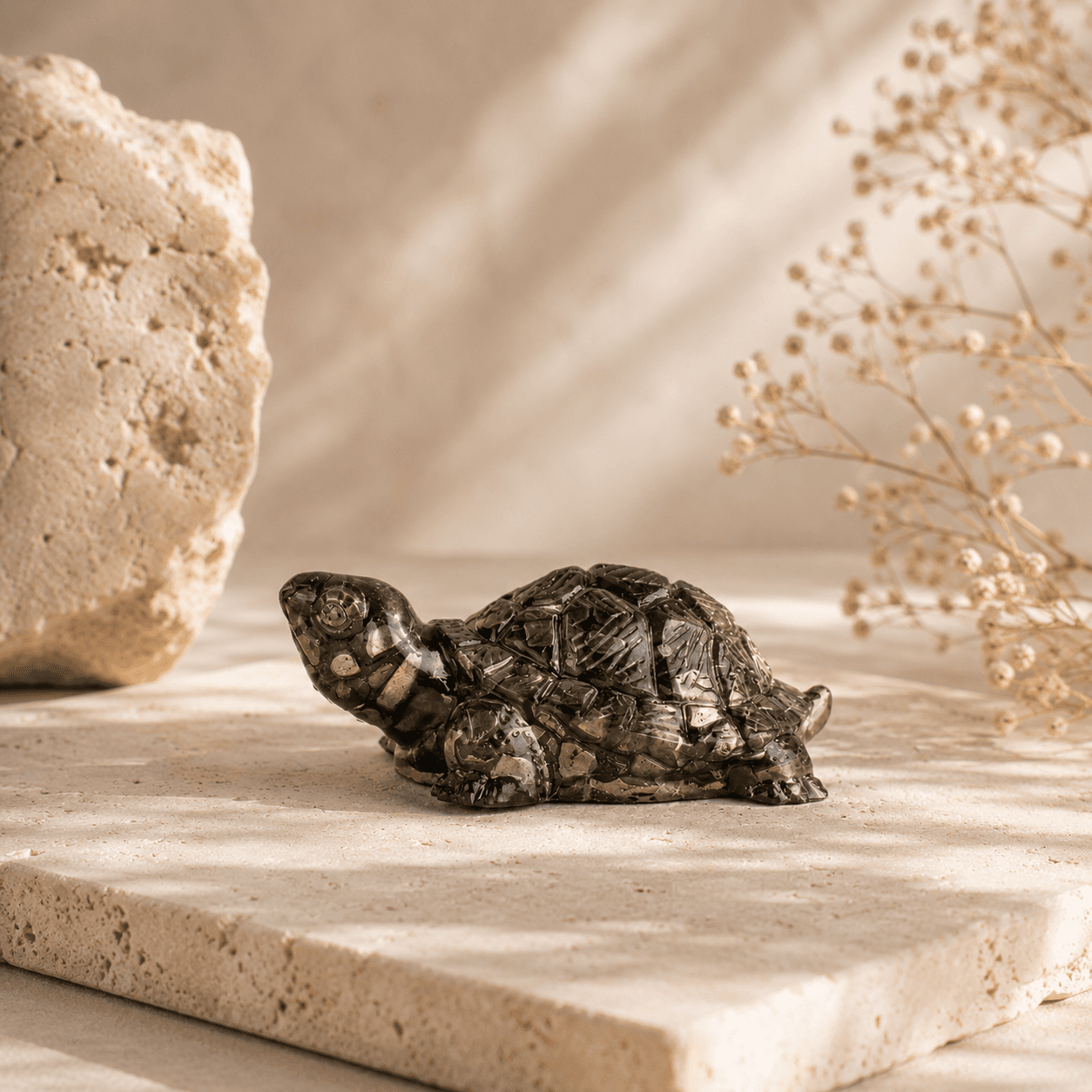 Pyrite Tortoise